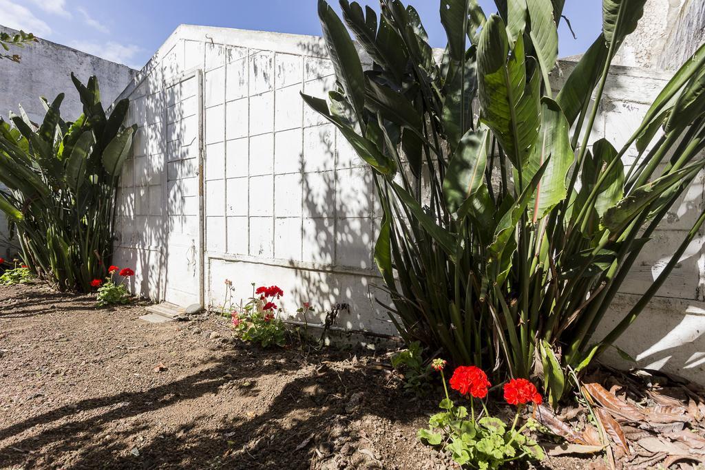 Willa Family House Garden Ponta Delgada Pokój zdjęcie